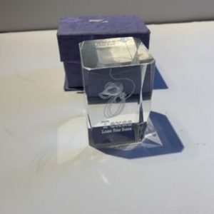 3D Glass Texas Hat and Lasso Paperweight Etched Lone Star State